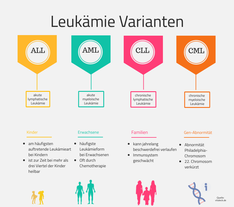 leukämie arten bild